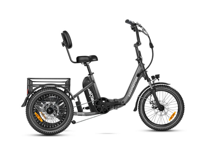 AddMotor Citytri E-310