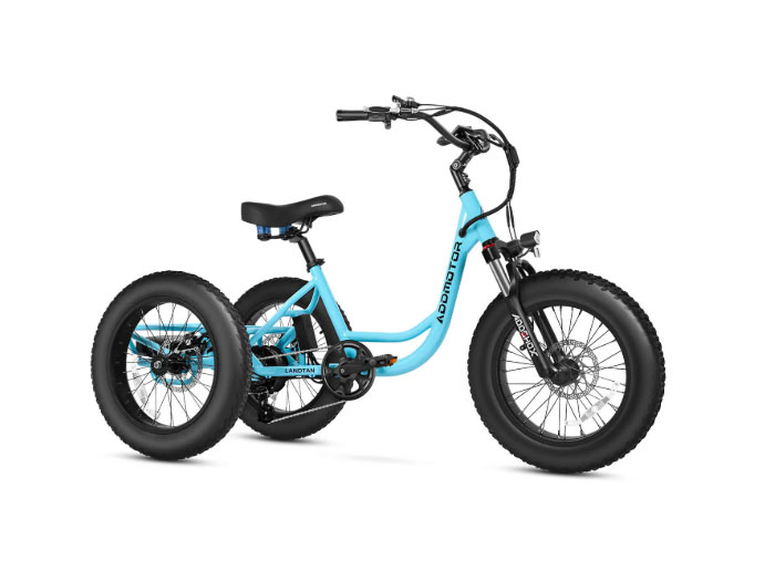AddMotor Landtan Fat Tire