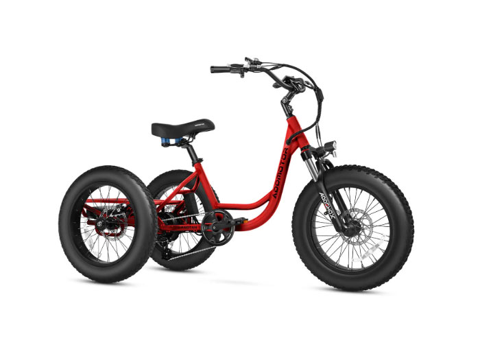 AddMotor Landtan Fat Tire