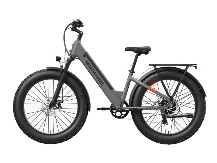 Mokwheel Mesa Plus ST