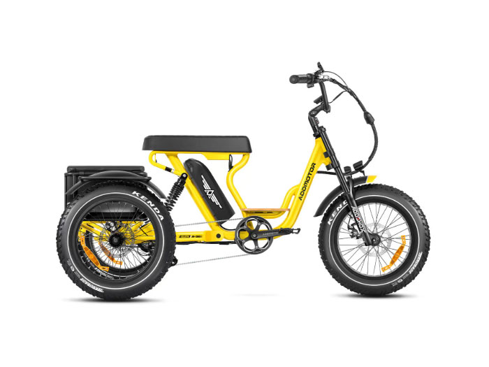 AddMotor Soletri M-366X