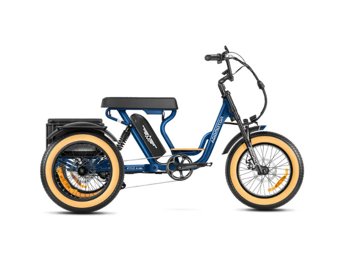 AddMotor Soletri M-366X