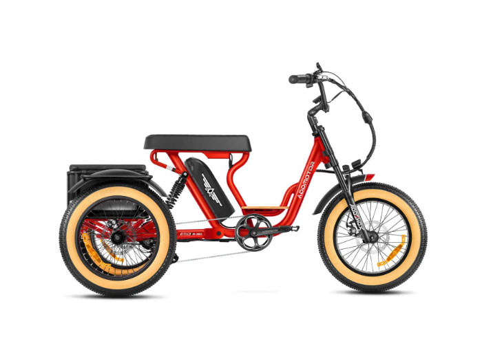 AddMotor Soletri M-366X