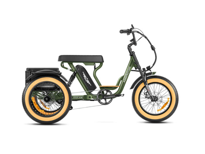 AddMotor Soletri M-366X